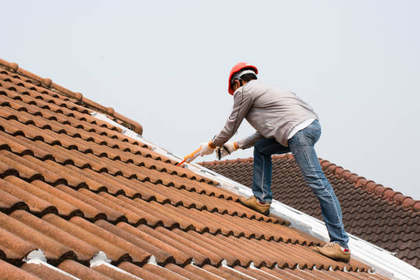 Best Green or Eco-Friendly Roofing Solutions  in Emma, NC